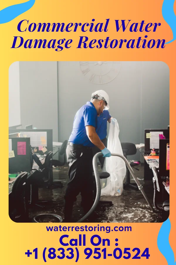 Commercial Water Damage Restoration in Port Townsend, WA