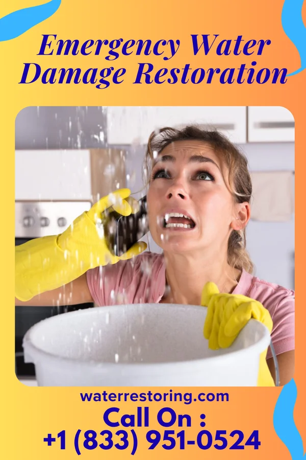 Emergency Water Damage Restoration in Port Townsend, WA