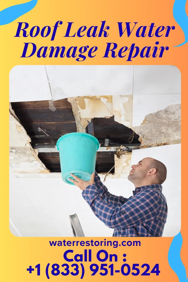 Roof Leak Water Damage Repair in Port Townsend, WA